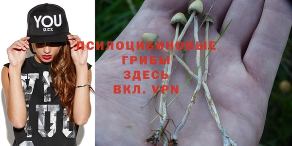 дурь Абинск