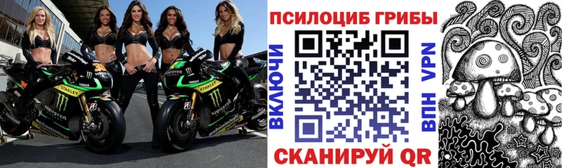 кракен как зайти  купить  сайты  Тимашёвск  Псилоцибиновые грибы Cubensis 